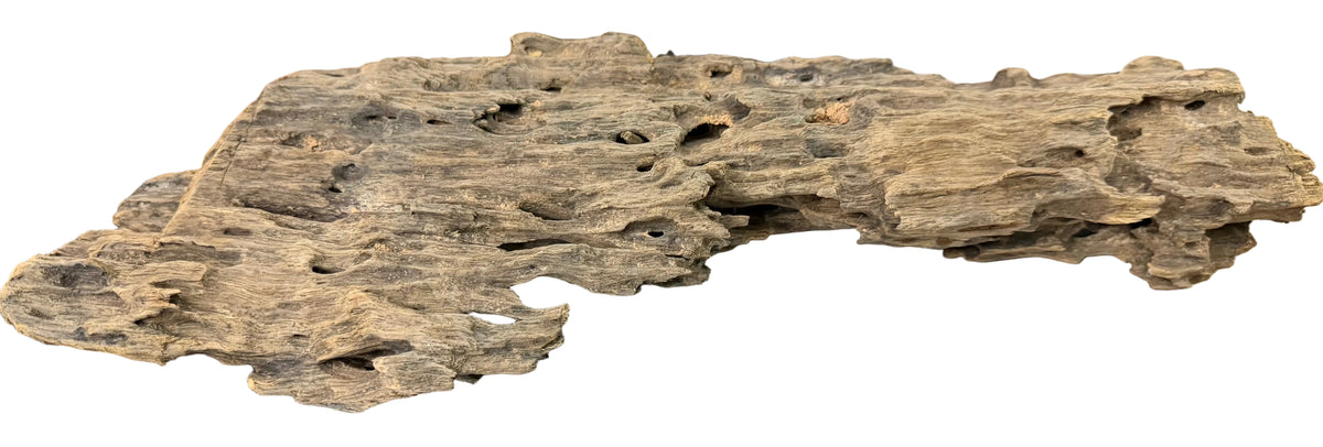 Texture / Shrimp Driftwood