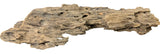 Texture / Shrimp Driftwood