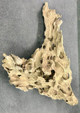 W.Y.S.I.W.Y.G.- 208 - Texture / Shrimp Driftwood