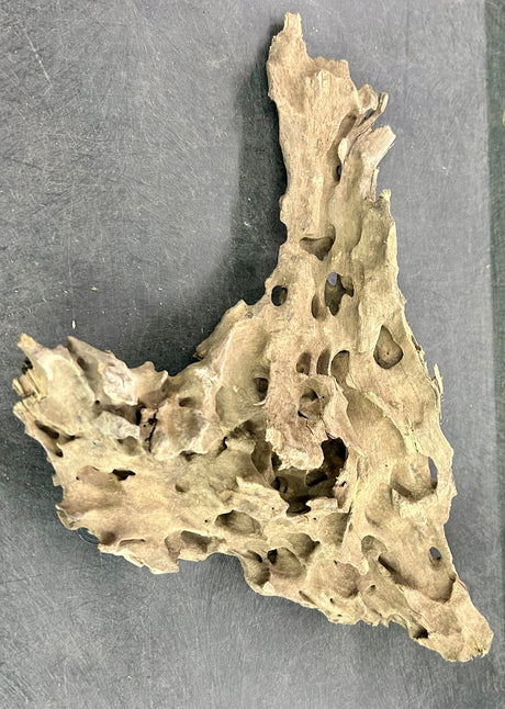 W.Y.S.I.W.Y.G.- 208 - Texture / Shrimp Driftwood