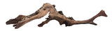 Malaysian Mangrove Sinking Driftwood