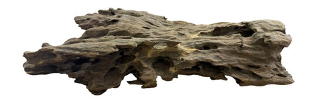 Texture / Shrimp Driftwood