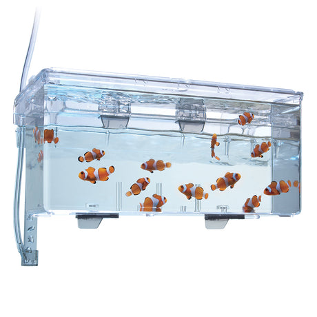 Fluval Hang-On Multi-Chamber Holding & Breeding Box -10943