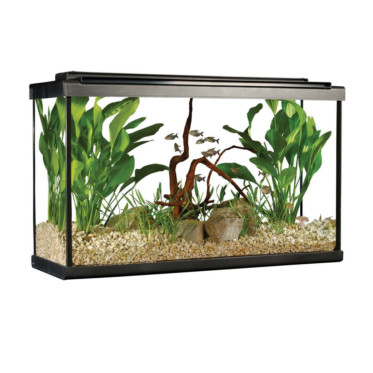 Fluval Premium Aquarium Kit with LED - 29 Tall - 110 L (29 US Gal)