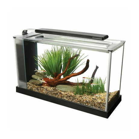 Fluval Spec Aquarium Kits | Aquariums | Largest Tropical Fish Selection at Your Local Fish Store