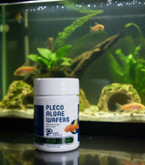 PlecoCeramics Pleco Algae Wafers with Anchovies Shrimp 1