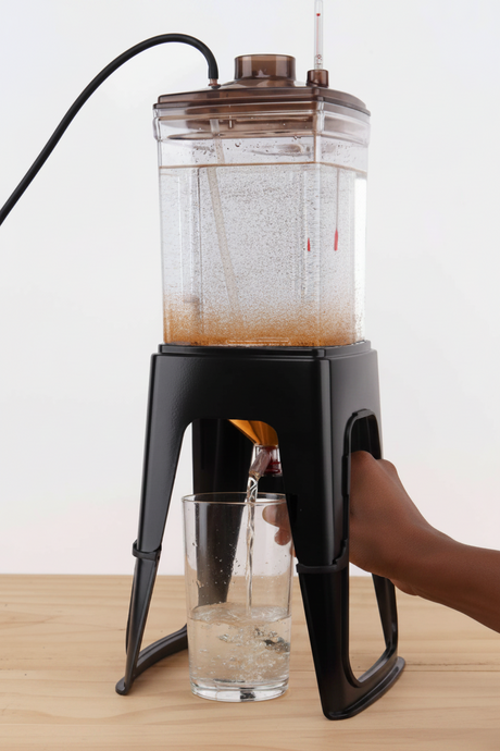 Live baby brine shrimp 