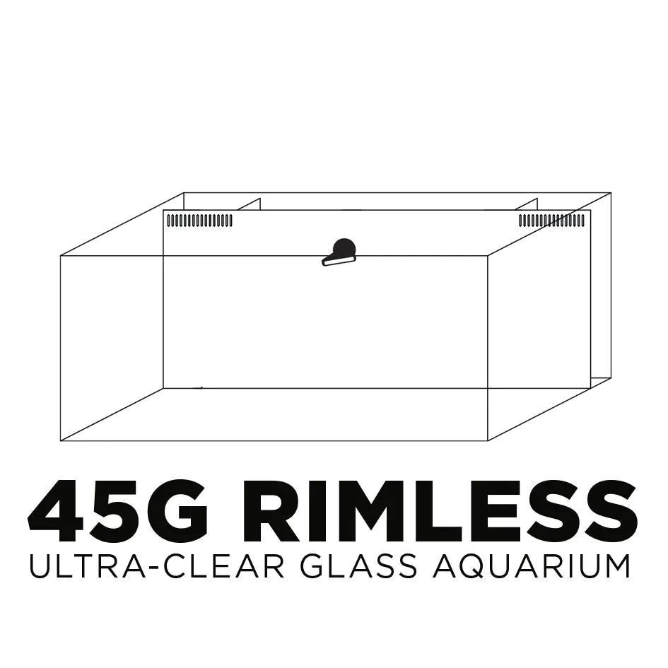 Clear Glass Aquarium