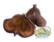 Badam Pods (2 pack) Botanicals 