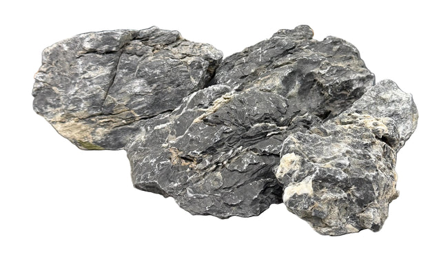 Black Mountain Seiryu Stone Bundle