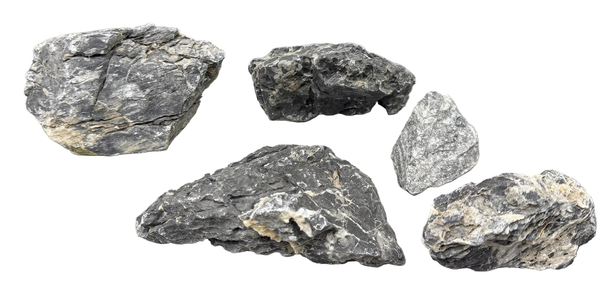 Black Mountain Seiryu Stone Bundle