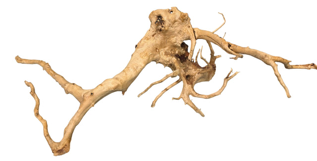 Piece of Spiderwood