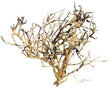 Thailand Branch Wood (3 pieces)