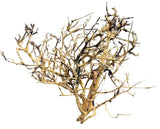 Thailand Branch Wood (3 pieces)