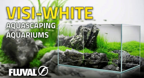 Fluval Visi-White  45P Rimless Aquarium - 10.7 US Gal / 40.5 L | Aquariums | Largest Tropical Fish Selection at Your Local Fish Store