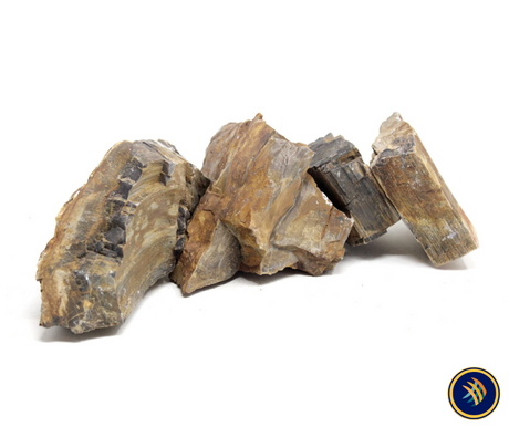 Petrified Wood Stone (Fossil Wood) Substrates & Hardscape Petrified Wood Stone (Fossil Wood)