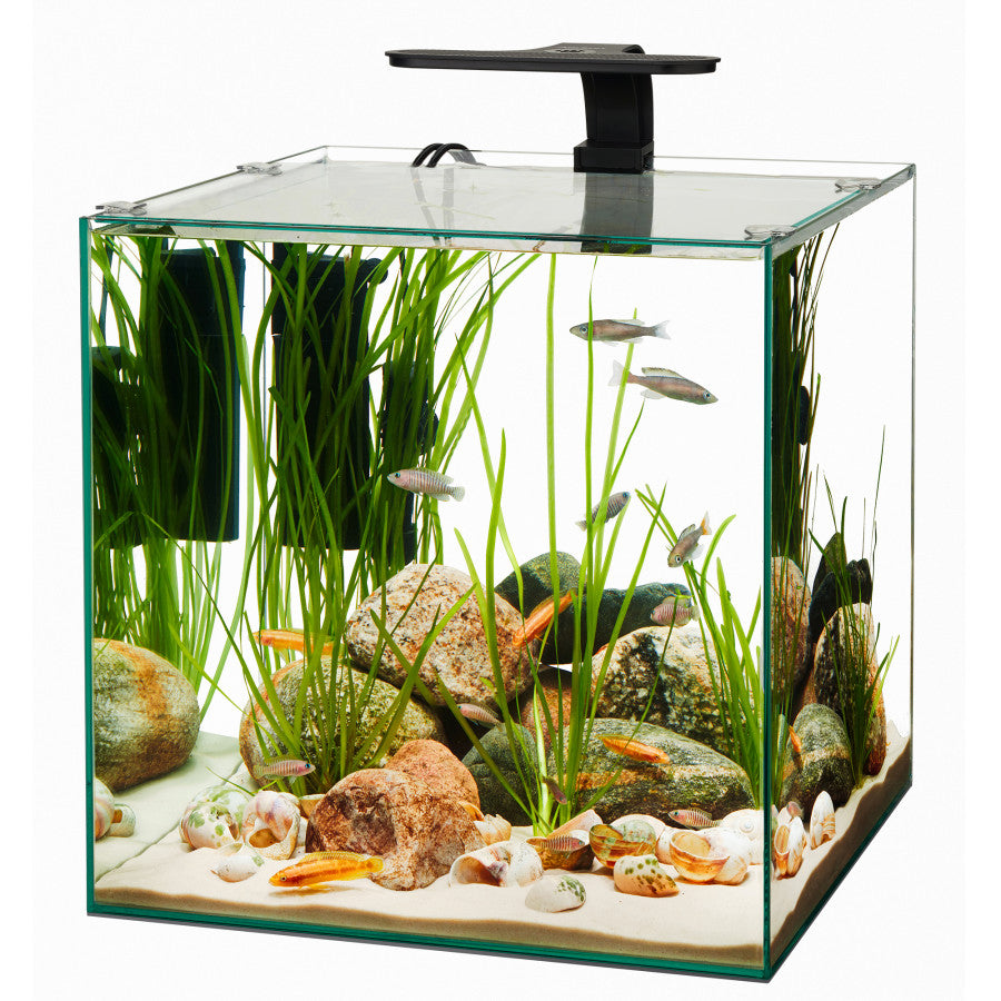 Aqueon Rimless Cube Aquarium Aquariums Aqueon Rimless Cube Aquarium