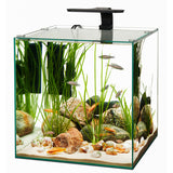 Aqueon Rimless Cube Aquarium Aquariums Aqueon Rimless Cube Aquarium