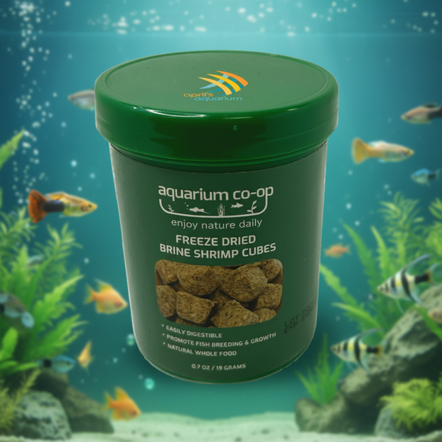 A closer look at Freezer Dried Food For Dwarf Aquarium Fish