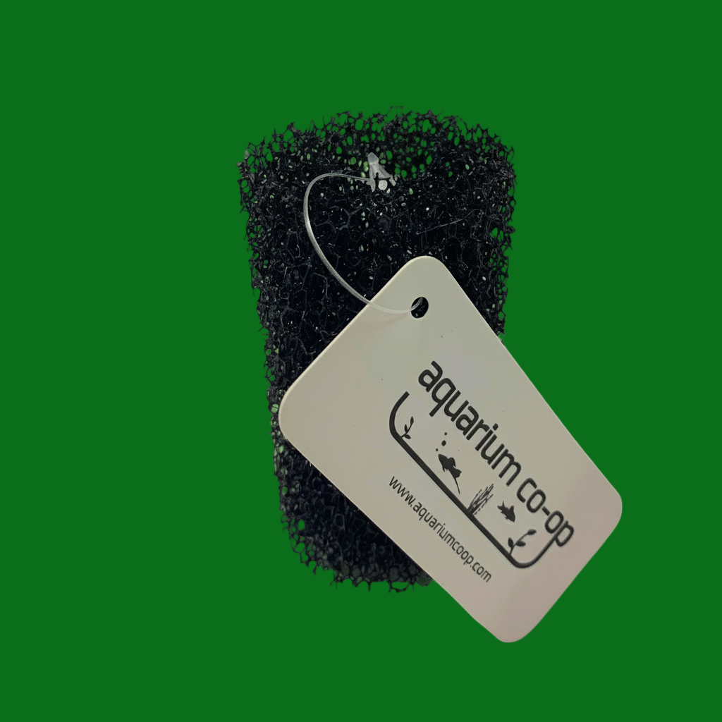 Buy Aquarium Co Op Pre Filter Sponge Your Local Fish Store Canadian Owned