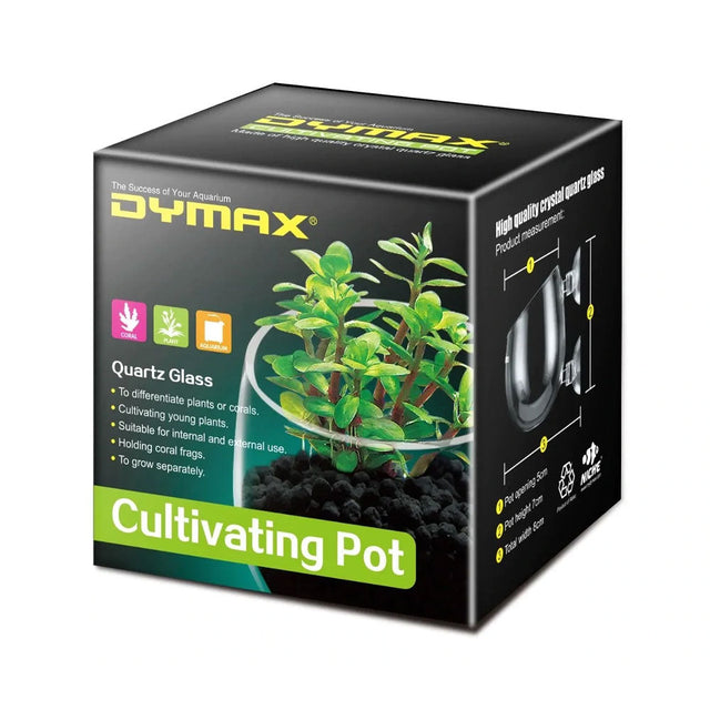 Dymax Crystal Cultivating Pot Potted Plants Dymax Crystal Cultivating Pot