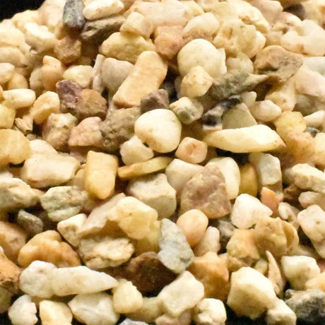 Dymax Pearl Gravel 4kg Substrates & Hardscape Dymax Pearl Gravel 4kg