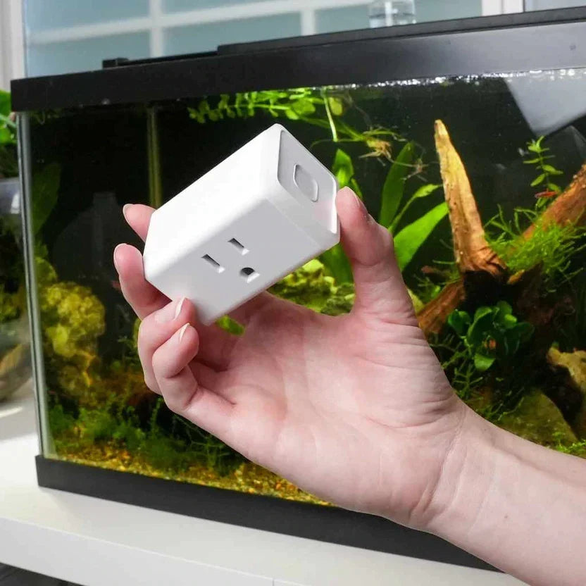 Fish Log Timer Inn Kasa Smart Wifi Light Timer – Your Local Fish Store
